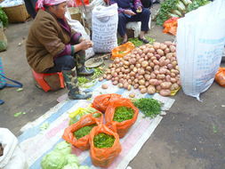 红河农产品信息网 数字化赋能，绘就高原特色农业发展新蓝图