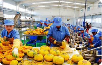 重庆出台十二条政策举措 支持新型农业经营主体抗疫情抓生产